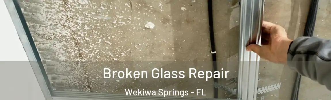 Broken Glass Repair Wekiwa Springs - FL