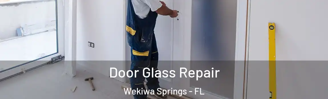 Door Glass Repair Wekiwa Springs - FL