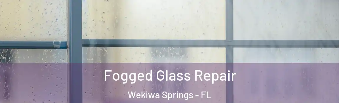  Fogged Glass Repair Wekiwa Springs - FL