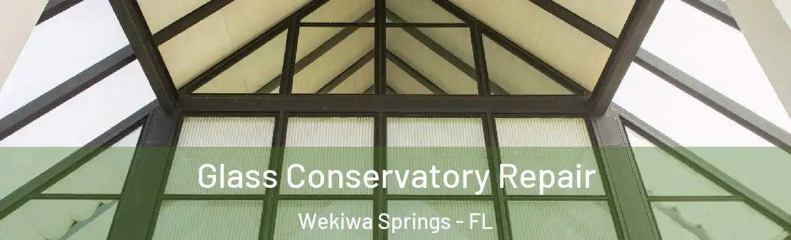  Glass Conservatory Repair Wekiwa Springs - FL