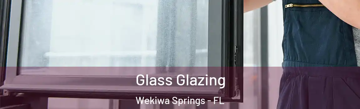  Glass Glazing Wekiwa Springs - FL