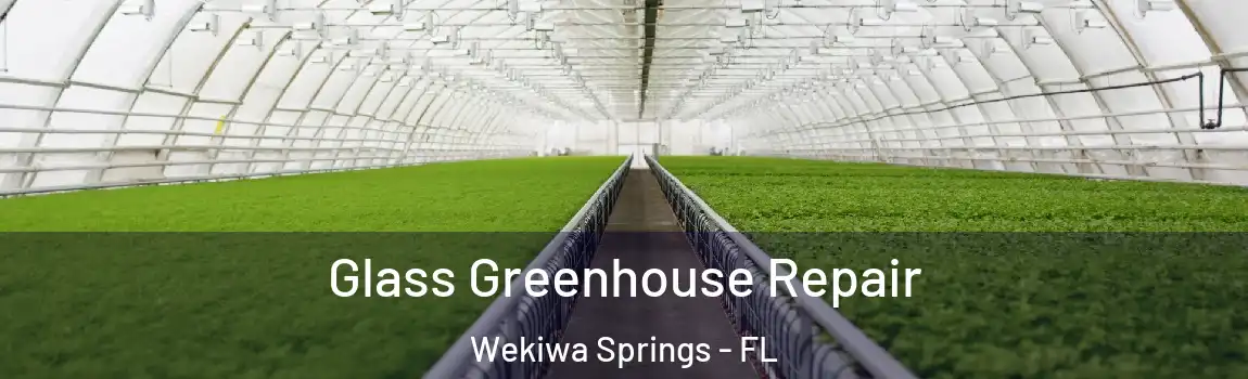  Glass Greenhouse Repair Wekiwa Springs - FL