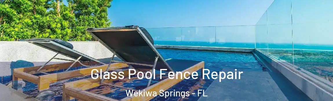 Glass Pool Fence Repair Wekiwa Springs - FL