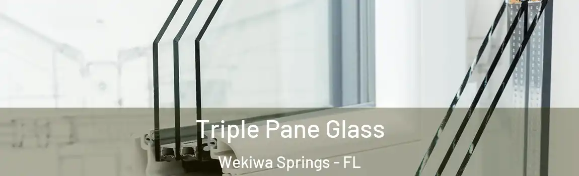  Triple Pane Glass Wekiwa Springs - FL