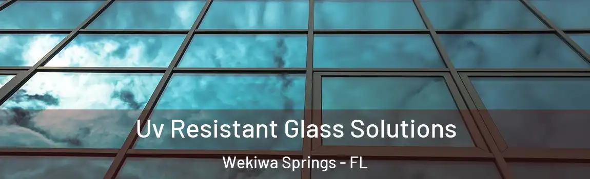  Uv Resistant Glass Solutions Wekiwa Springs - FL