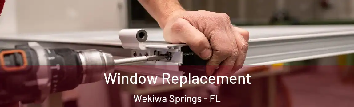  Window Replacement Wekiwa Springs - FL