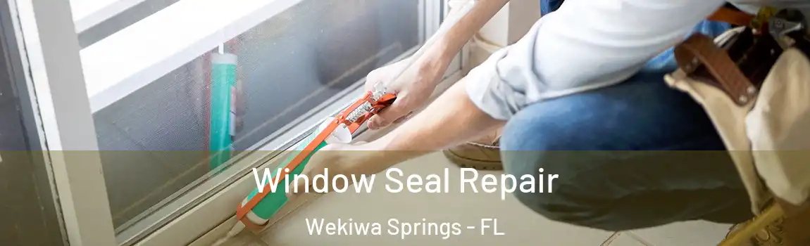  Window Seal Repair Wekiwa Springs - FL